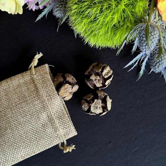 Bird moss box - the feathered witch - Picture 5 of 9